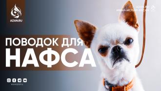 Поводок для нафса