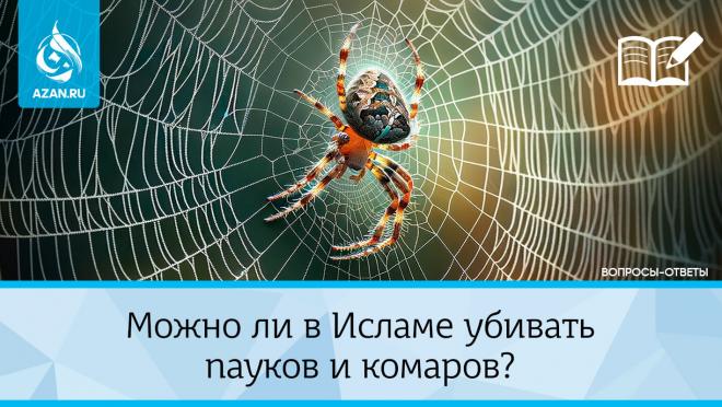 Можно ли в Исламе убивать пауков и комаров?