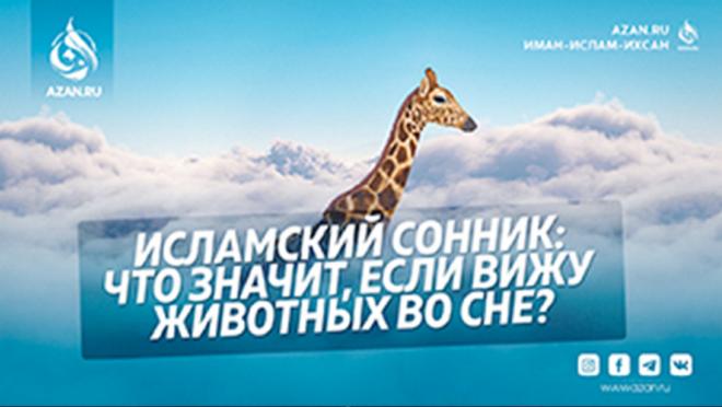 Исламский сонник: Что значит, если вижу животных во сне?