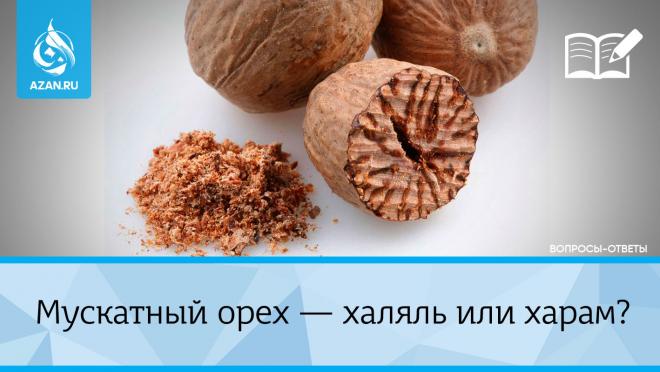 Мускатный орех — халяль или харам?