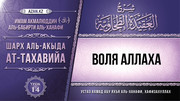 14 урок. Воля Аллаха
