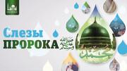 Слезы Пророка