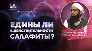 Едины ли в действительности салафиты?