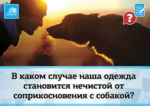 В каком случае наша одежда становится нечистой от соприкосновения с собакой?
