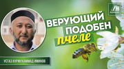 Верующий подобен пчеле