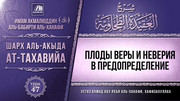 47. Плоды веры и неверия в предопределение