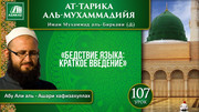  107 урок. Бедствие языка: краткое введение