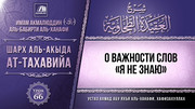 66. О важности слов 