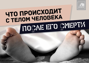 Что происходит с телом человека после его смерти