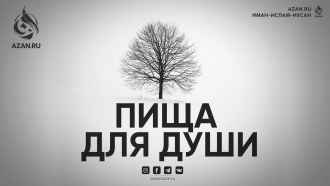 Пища для души