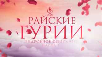 Райские гурии: подробное описание (Часть 1)
