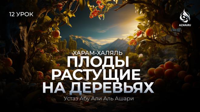 Урок №12. Решение по упавшим с дерева плодам: фрукты; орехи и т.д.