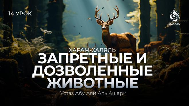 Урок №14. Дозволенные и недозволенные в пищу животные: змеи; собаки; ящерицы и т.д.
