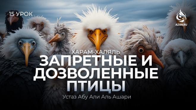 Урок №15. Дозволенные и недозволенные в пищу птицы