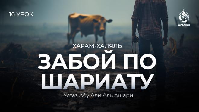 Урок №16. Забой животных по Шариату: правила забоя и подготовки мяса; кровь и части тела животных